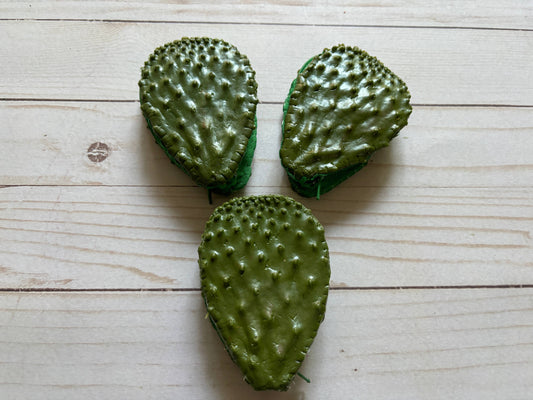 One Gag Gift Coin Purse Nopal  Cactus